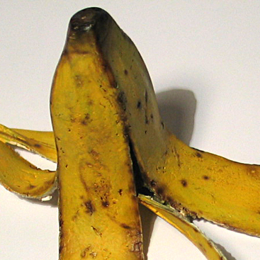 banane-open-studios 