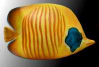 Poisson exotique jaune ccc