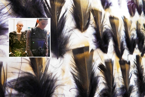 plumes-peintes-defile-chanel