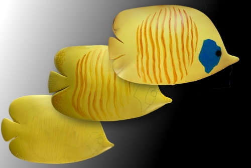Poisson exotique jaune